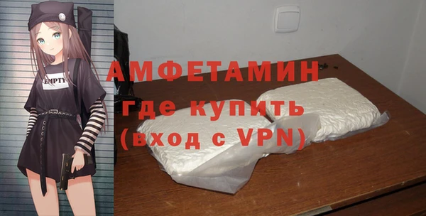 сатива Балахна