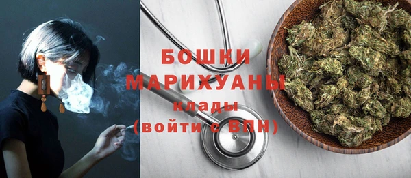 сатива Балахна