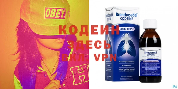шишки Беломорск