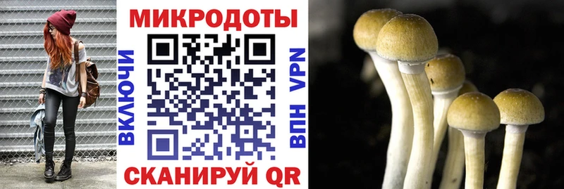 Псилоцибиновые грибы мухоморы Коммунар