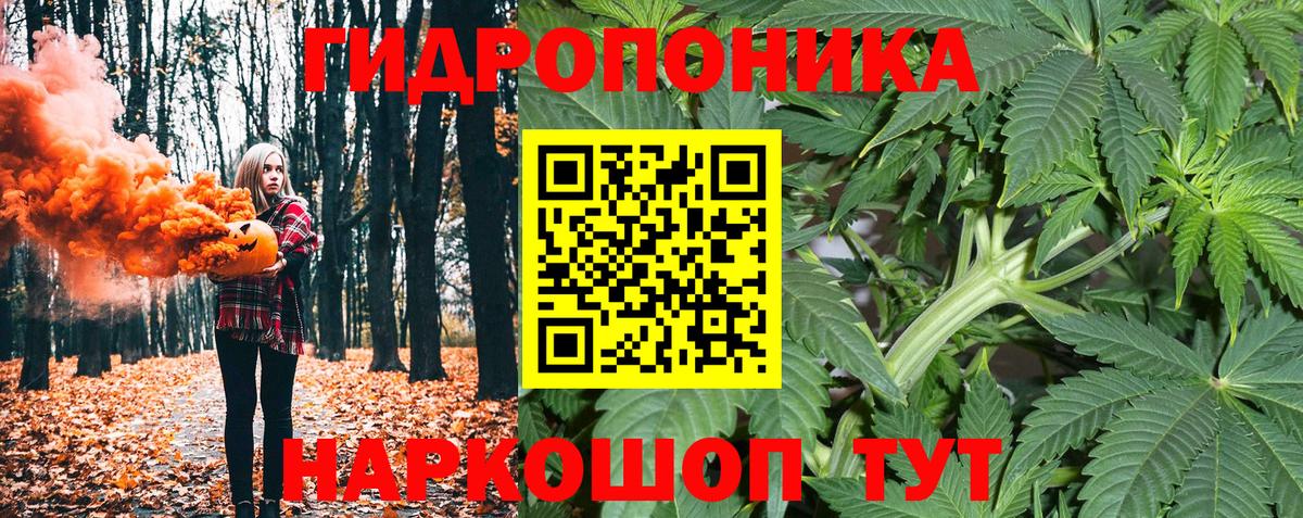 Канабис тримм  Канабис SATIVA & INDICA  Вход с VPN  Коммунар  Канабис Bruce Banner  МАРИХУАНА план 